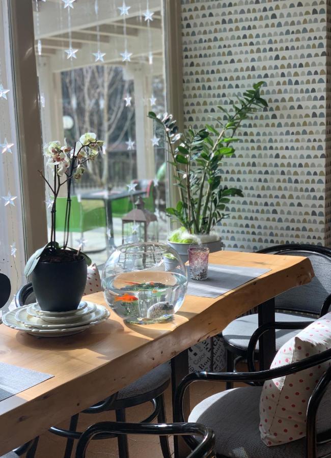 Hotel Garden Fino Del Monte Екстериор снимка